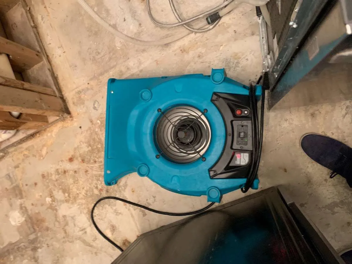 Air mover drying equipment for Mold Remediation & Removal in Shiprock